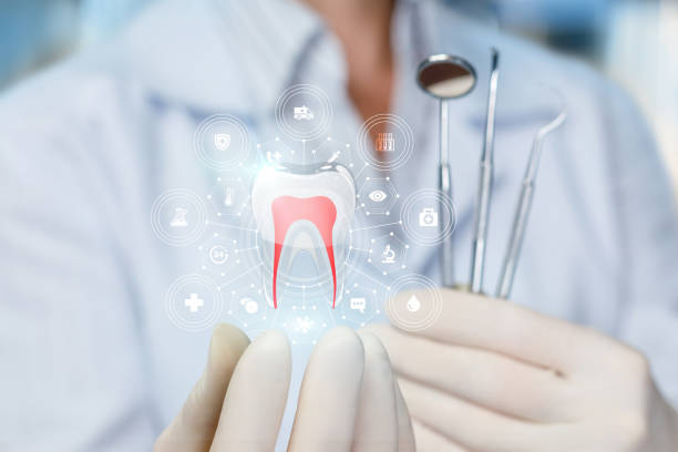 Best Dental X-Rays and Imaging  in Montana City, MT